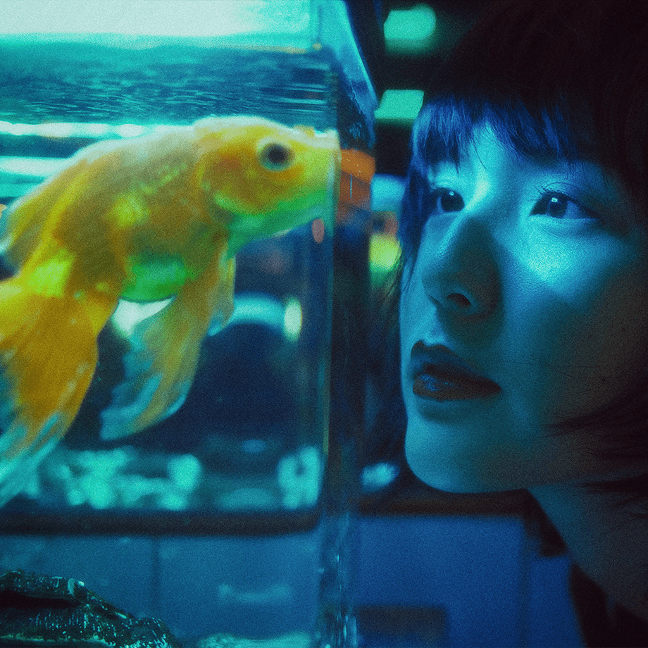 Attention And Concentration Header Image