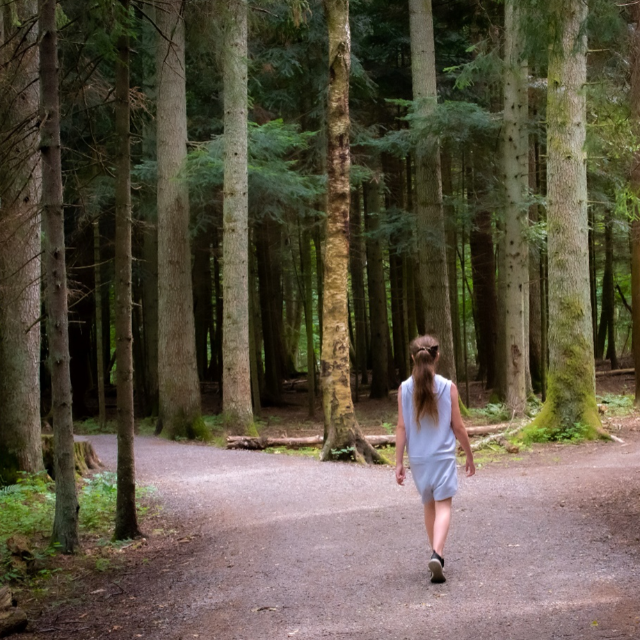 Blog Investing In People With Enetenterprise